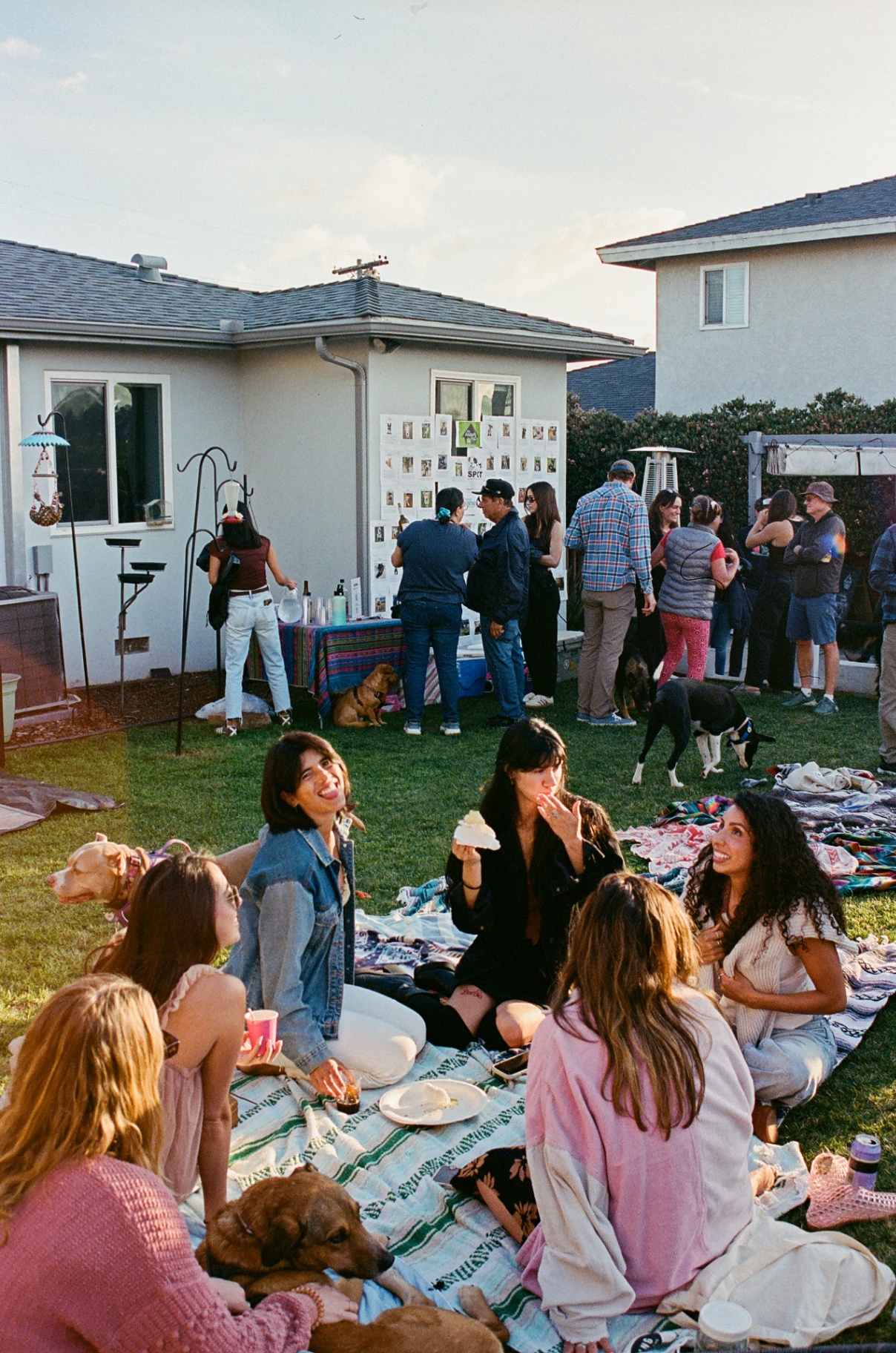 Picnic with friends on the lawn, warm afternoon light