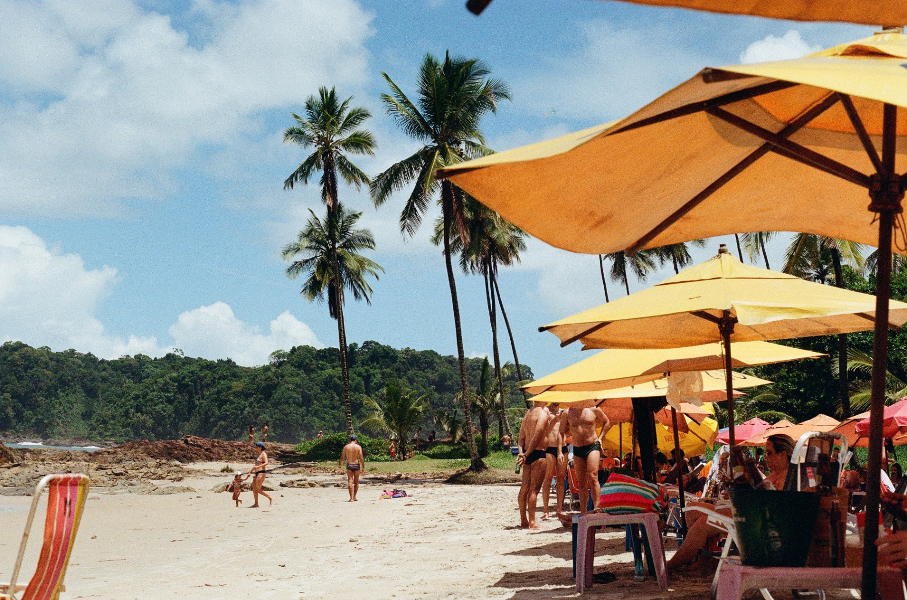 Palm-lined Brazil beach filled with yellow umbrellas