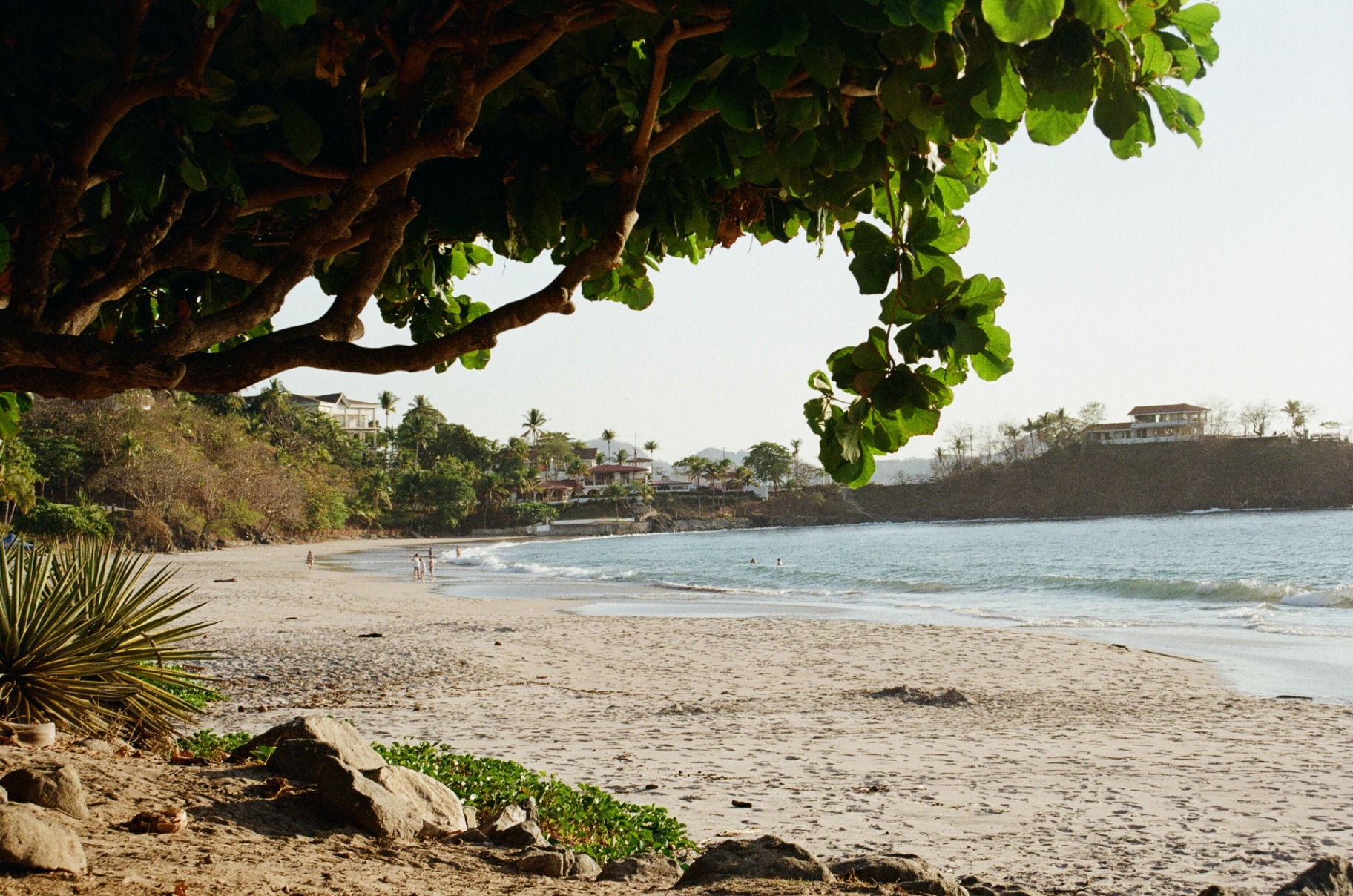 A quiet Costa Rica bay seen beneath a leafy tree canopy