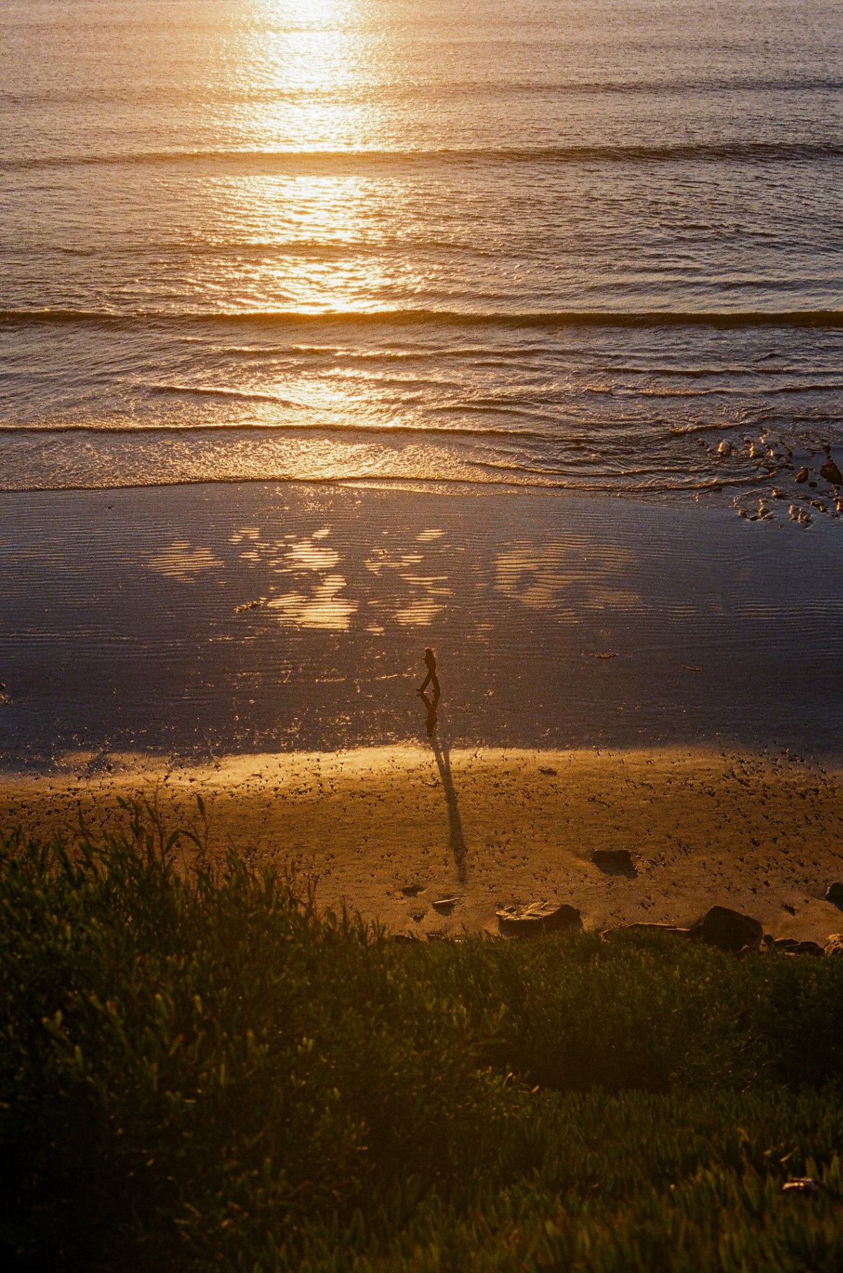 Lone figure walking along a wet California beach at sunset with golden light reflecting on the sand