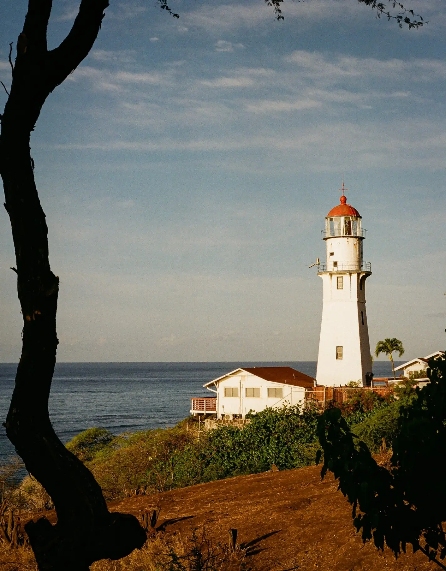 Diamond Head lighthouse with its red dome beside a keeper's cottage and a lone palm, overlooking the Pacific at golden hour
