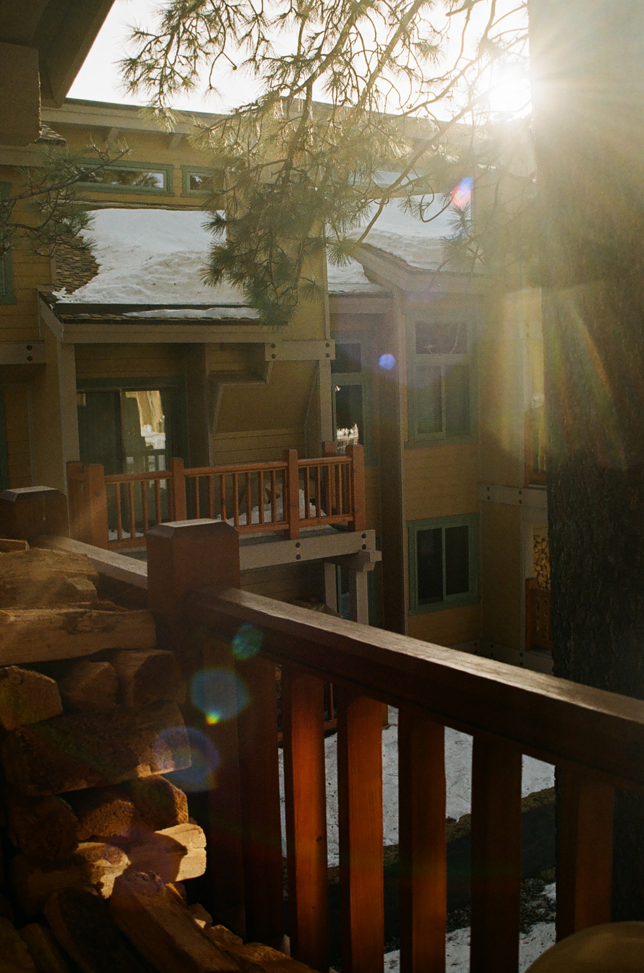 Sun flaring through pines onto a wooden cabin balcony in the Sierra