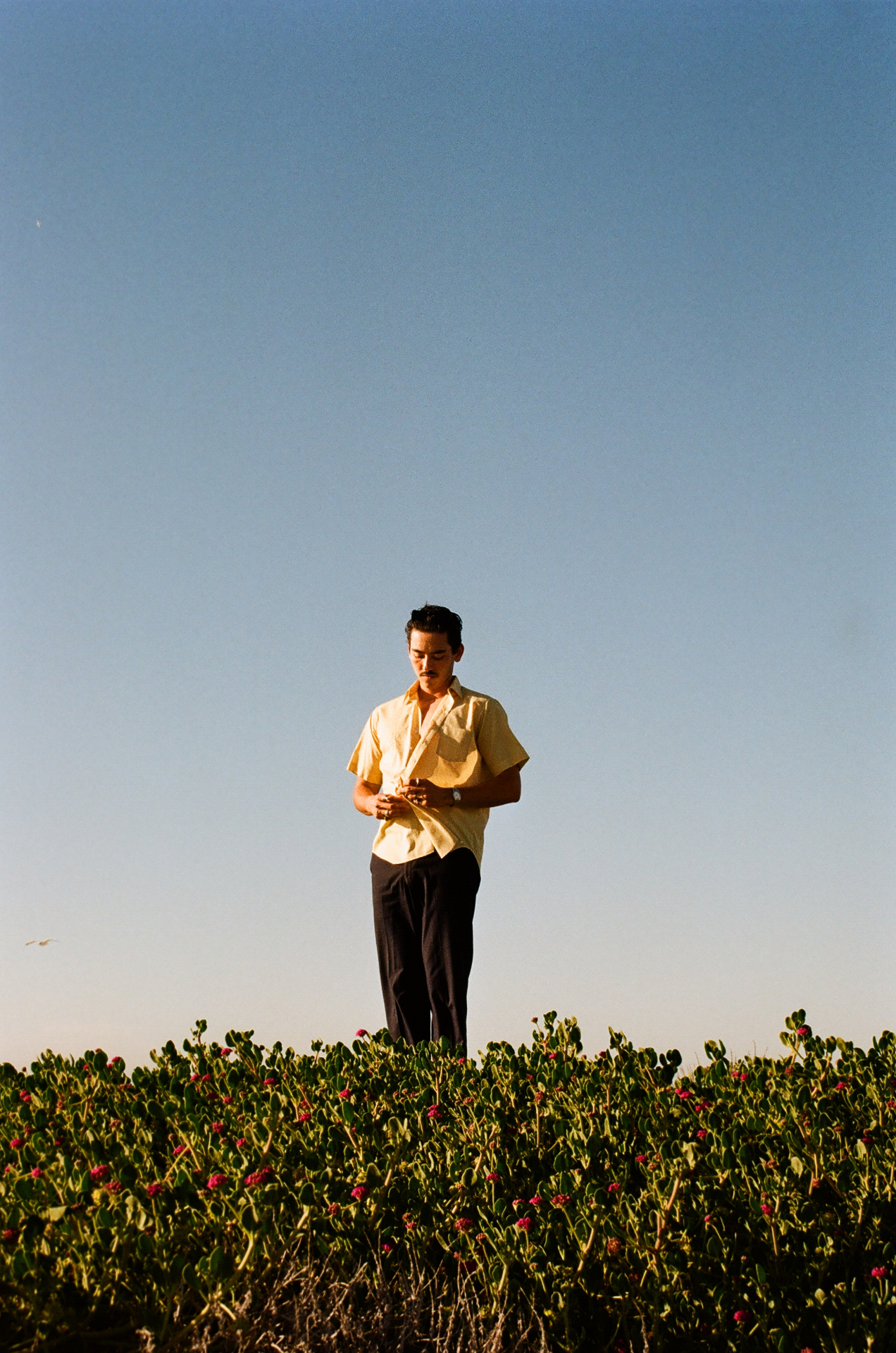 Christian in yellow above blooming ice plant at golden hour