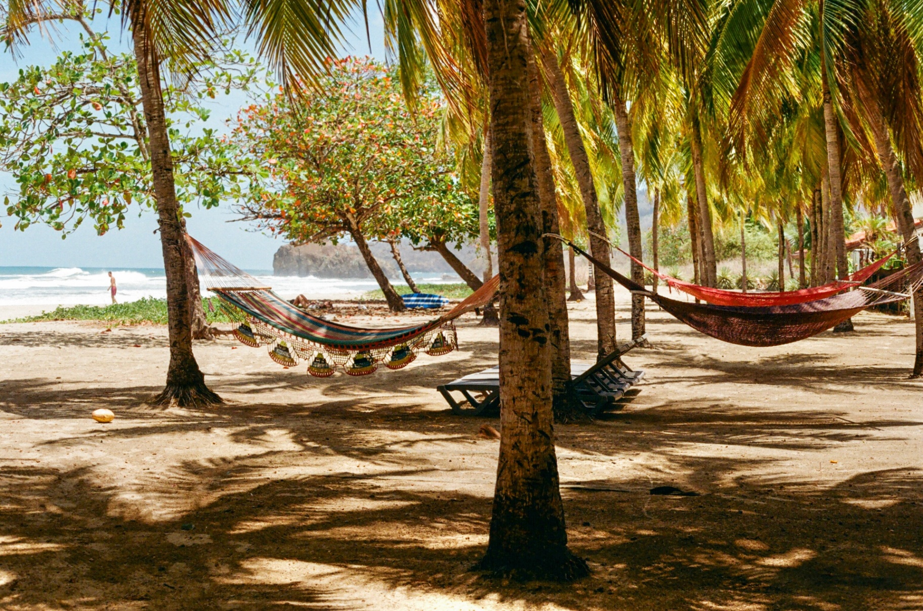 Colorful hammocks strung between palm trees on a Costa Rica beach with the ocean beyond
