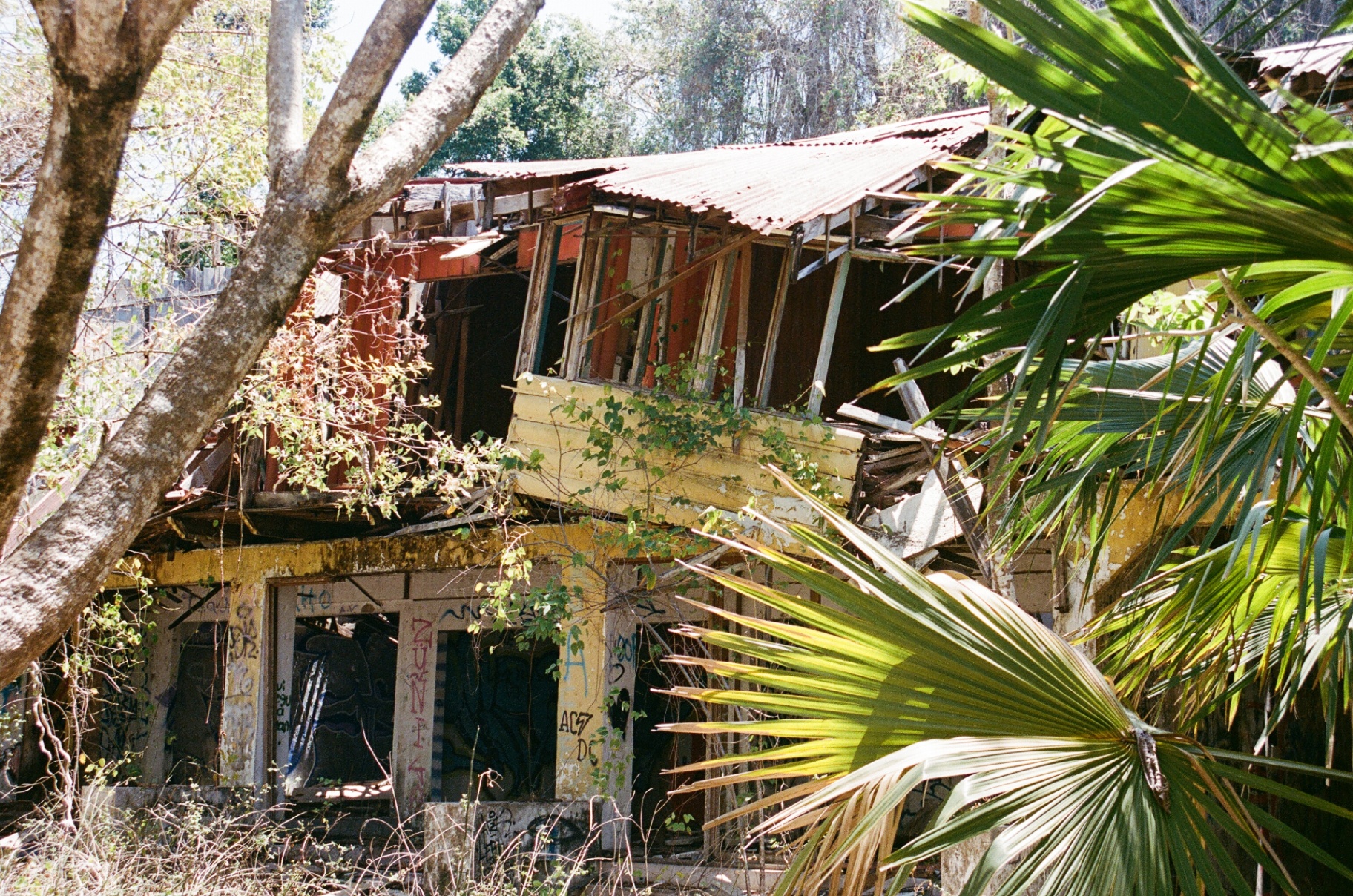 An abandoned house overtaken by tropical plants in Costa Rica