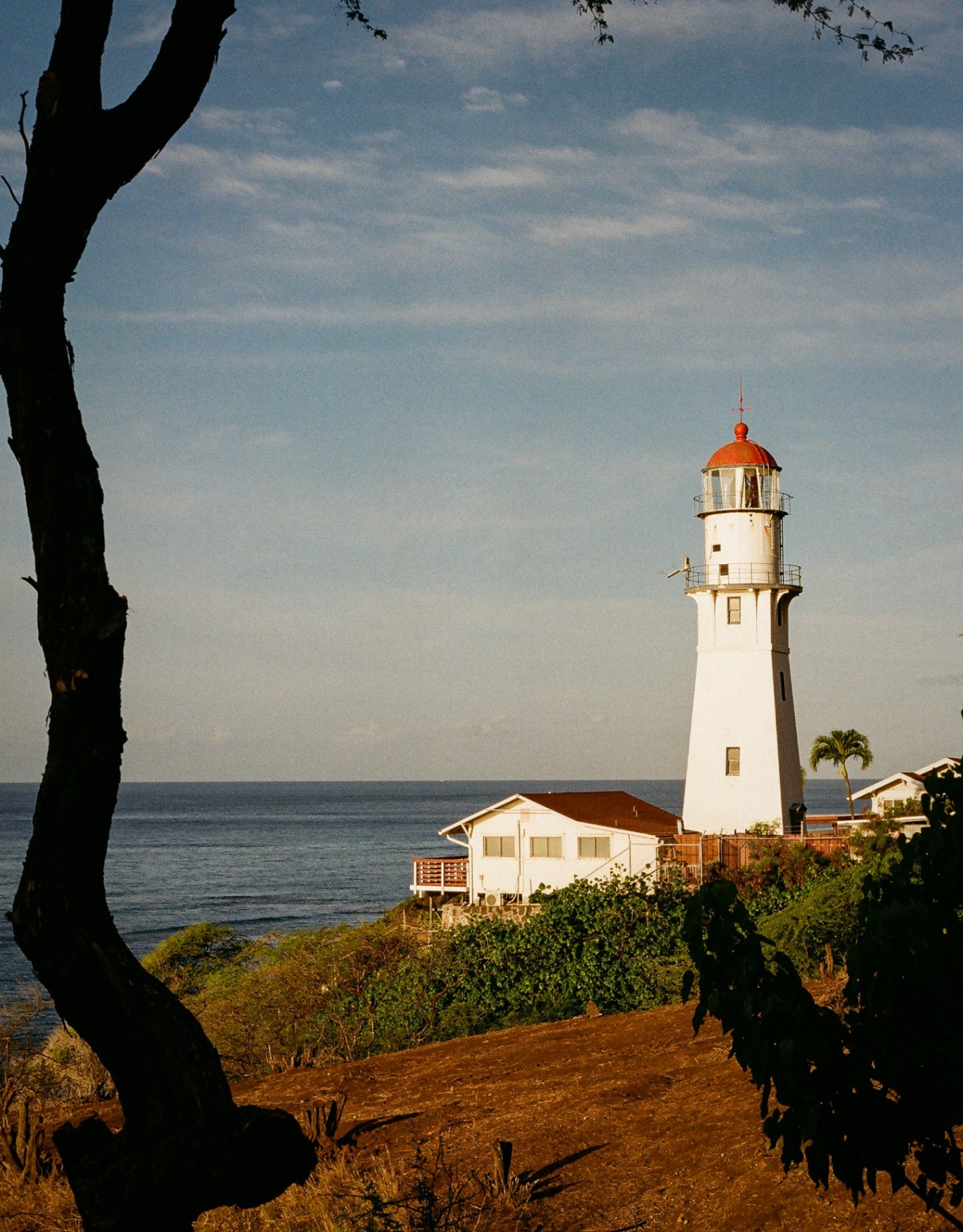 Diamond Head lighthouse with red dome overlooking the Pacific through a curving tree branch