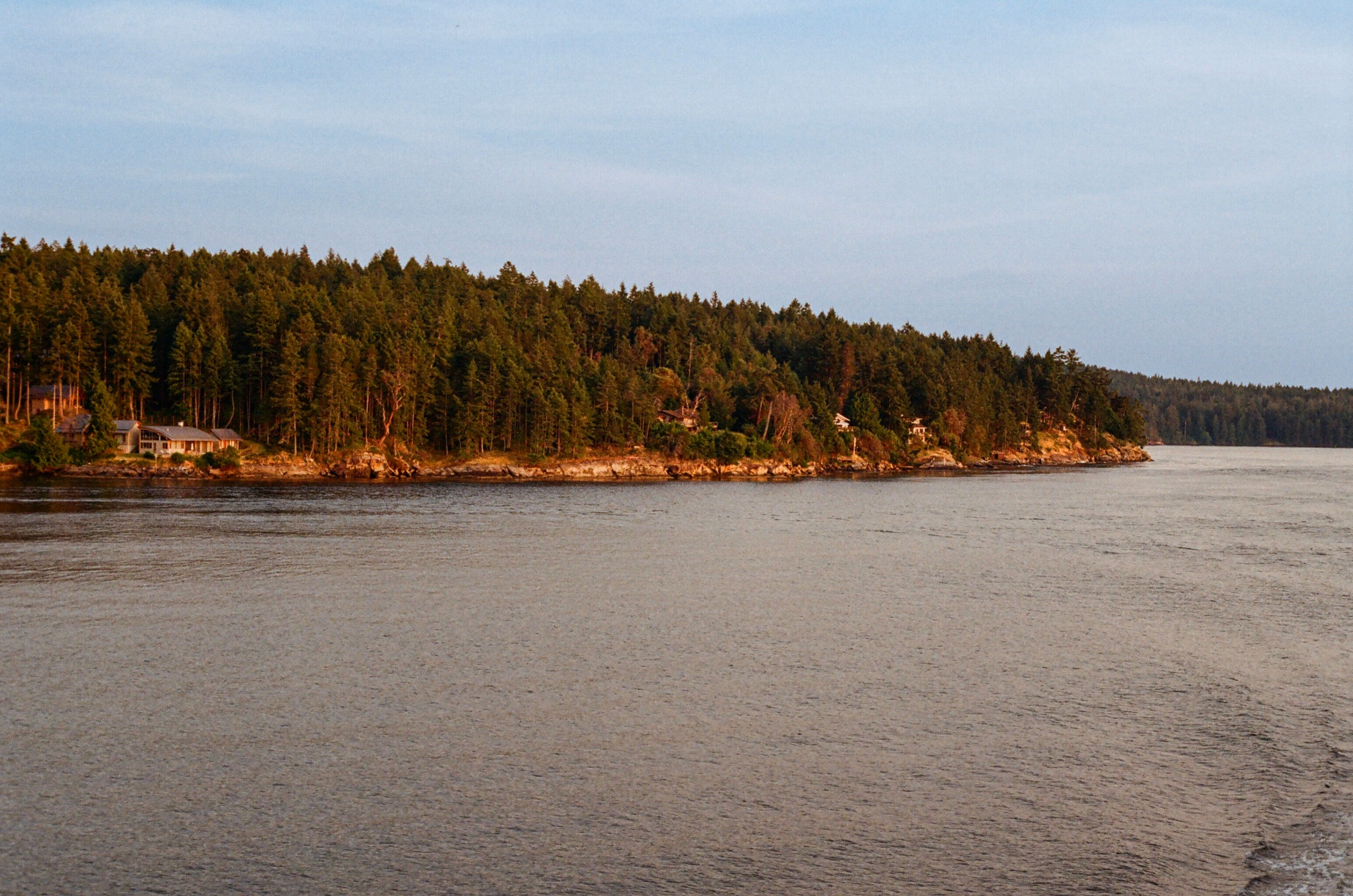 Forested Gulf Islands shoreline glowing at golden hour from the ferry