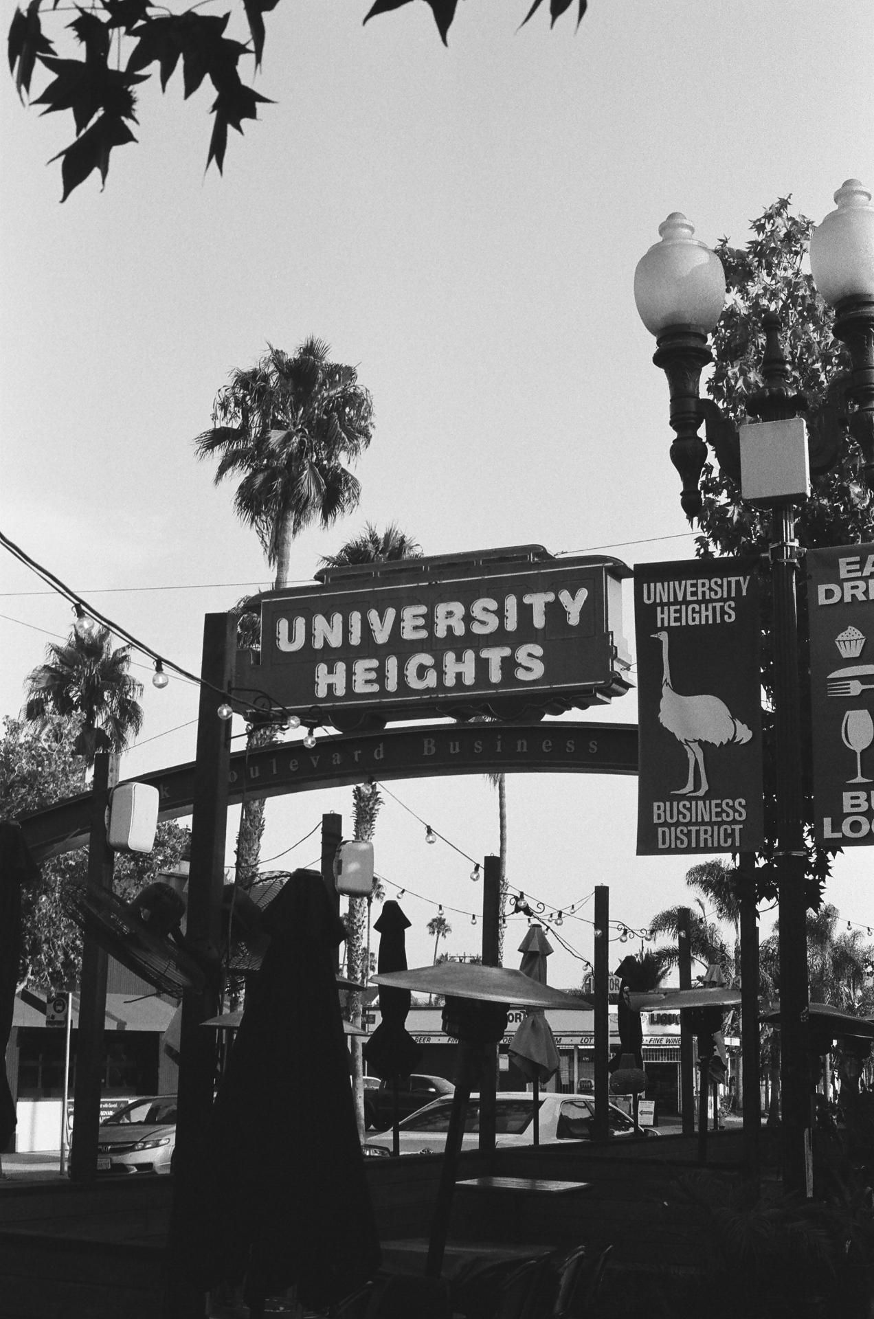 Black and white photo of the University Heights sign in San Diego framed by palm trees and ornate lamp posts