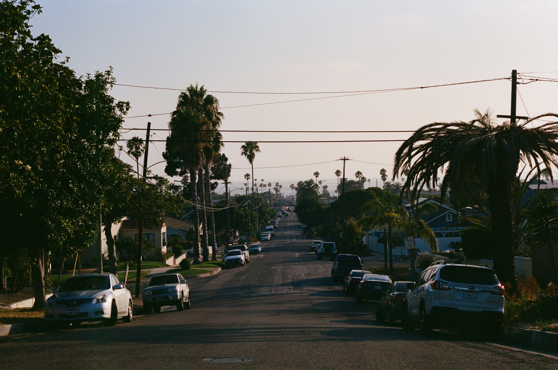 Palm-lined California neighborhood street sloping down toward the ocean in late afternoon light