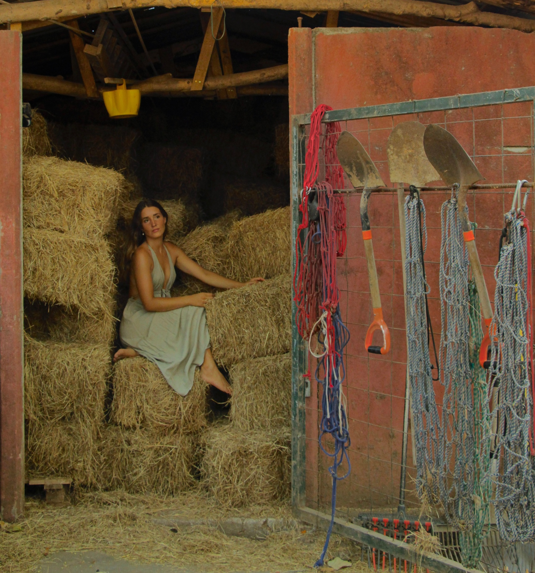 Quiet moment in the hay barn