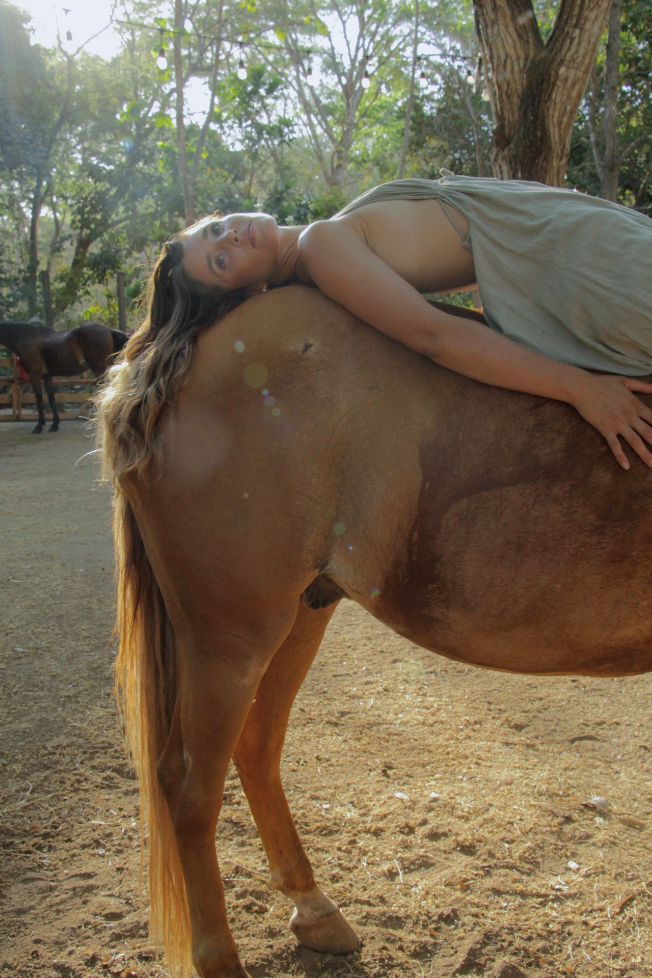 Resting on horseback in warm afternoon light