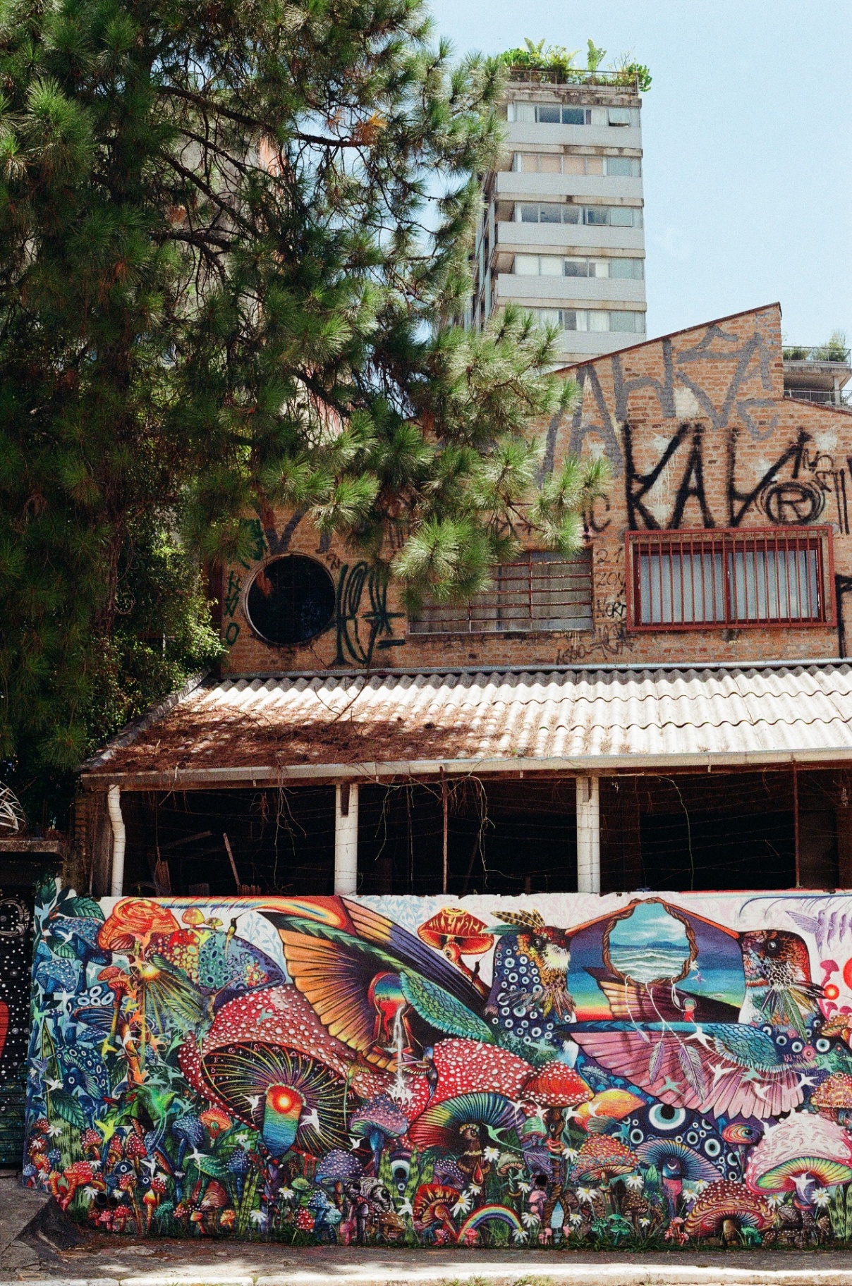 Vivid mushroom and hummingbird mural wrapping a São Paulo wall beneath a graffiti-covered brick facade