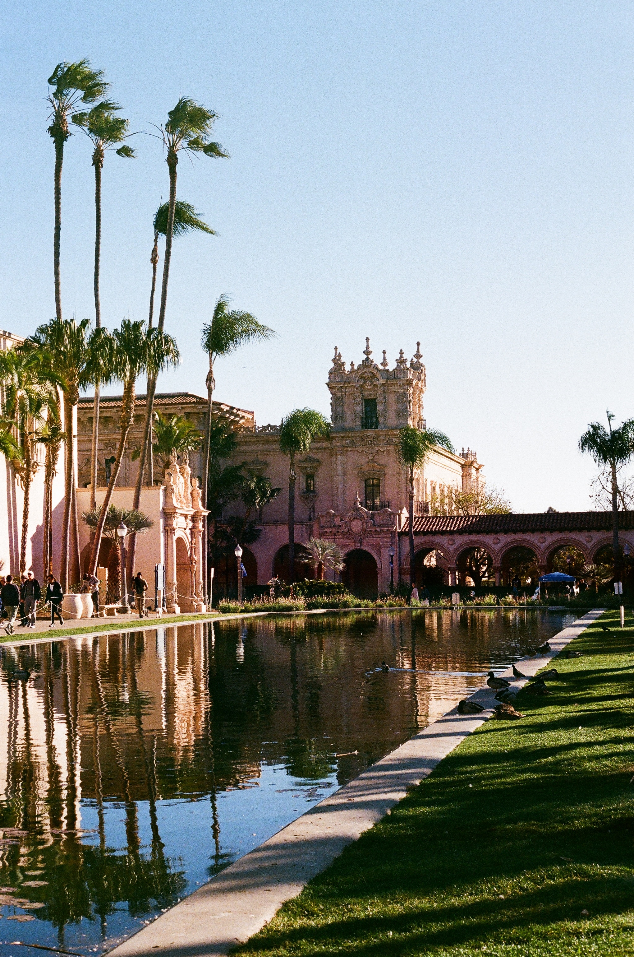 Spanish Revival architecture and palms reflected in a long pool at Balboa Park, San Diego