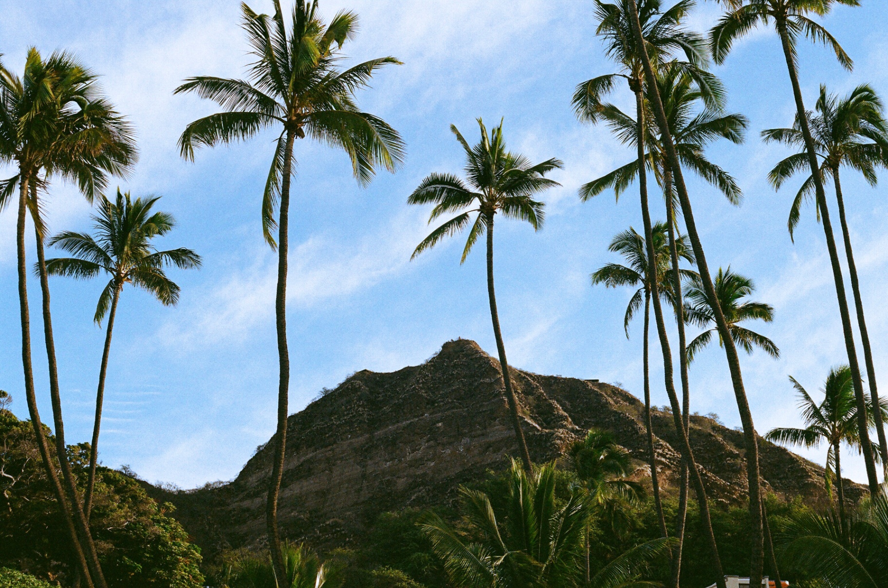 Tall palm trees framing Diamond Head crater against a bright blue Hawaiian sky
