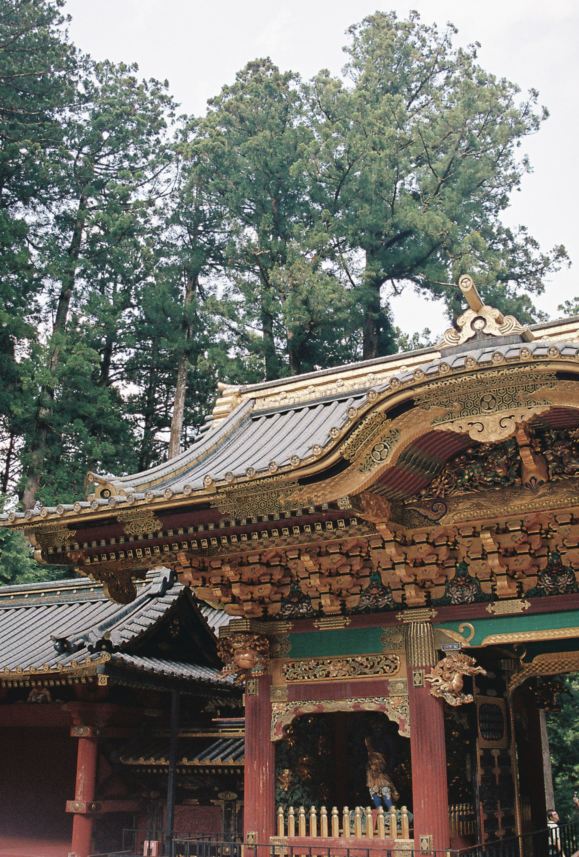 Ornate gold and red carved roof of a Nikko shrine gate against tall cedars