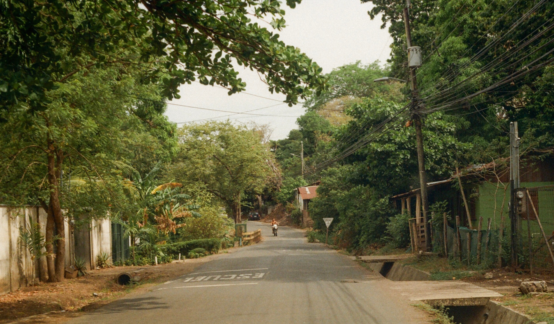 Quiet Costa Rica road lined with trees and power lines, Escuela marked on the pavement, a motorbike in the distance