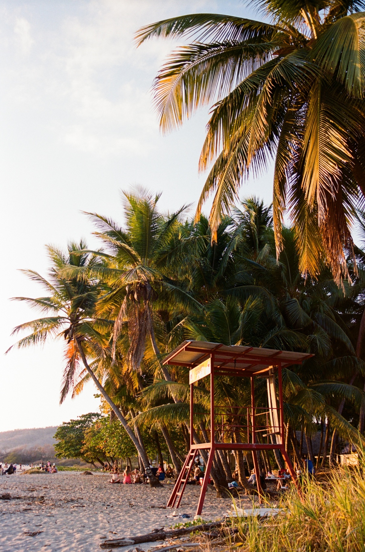 Palm fronds and a beach roofline glowing in warm light at golden hour in Costa Rica