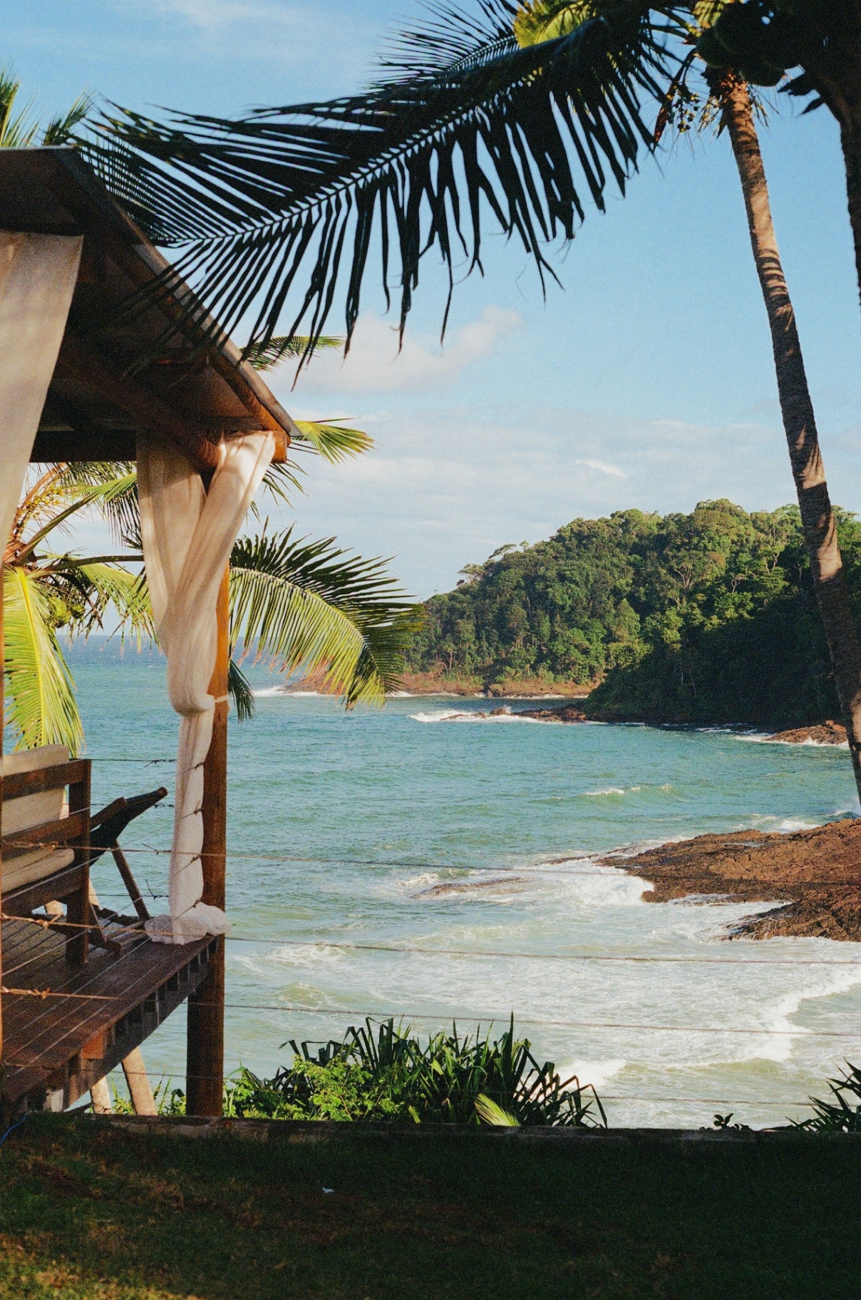 Ocean view framed by palms and a cabana on the Brazil coast