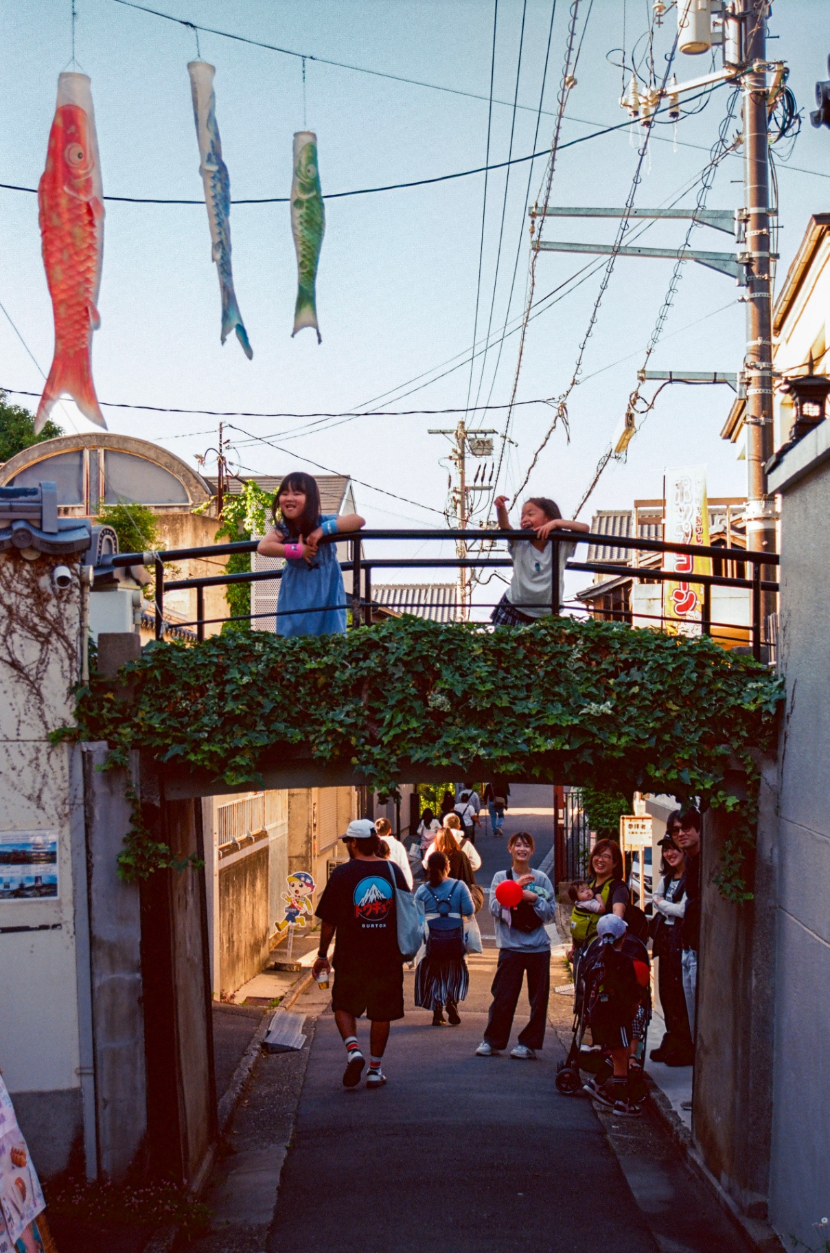 Koinobori carp streamers above a narrow Japanese street at golden hour