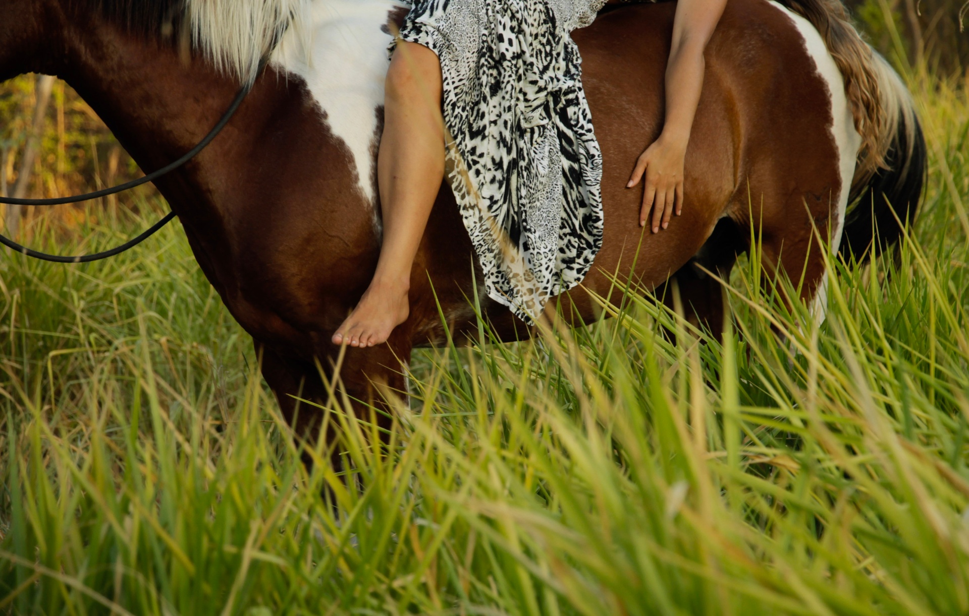 Bareback in the tall grass