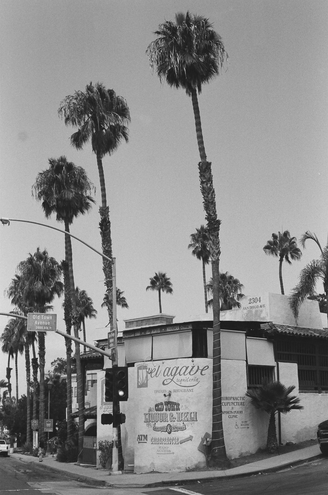 Black and white photo of El Agave tequileria on a palm-lined corner in Old Town San Diego