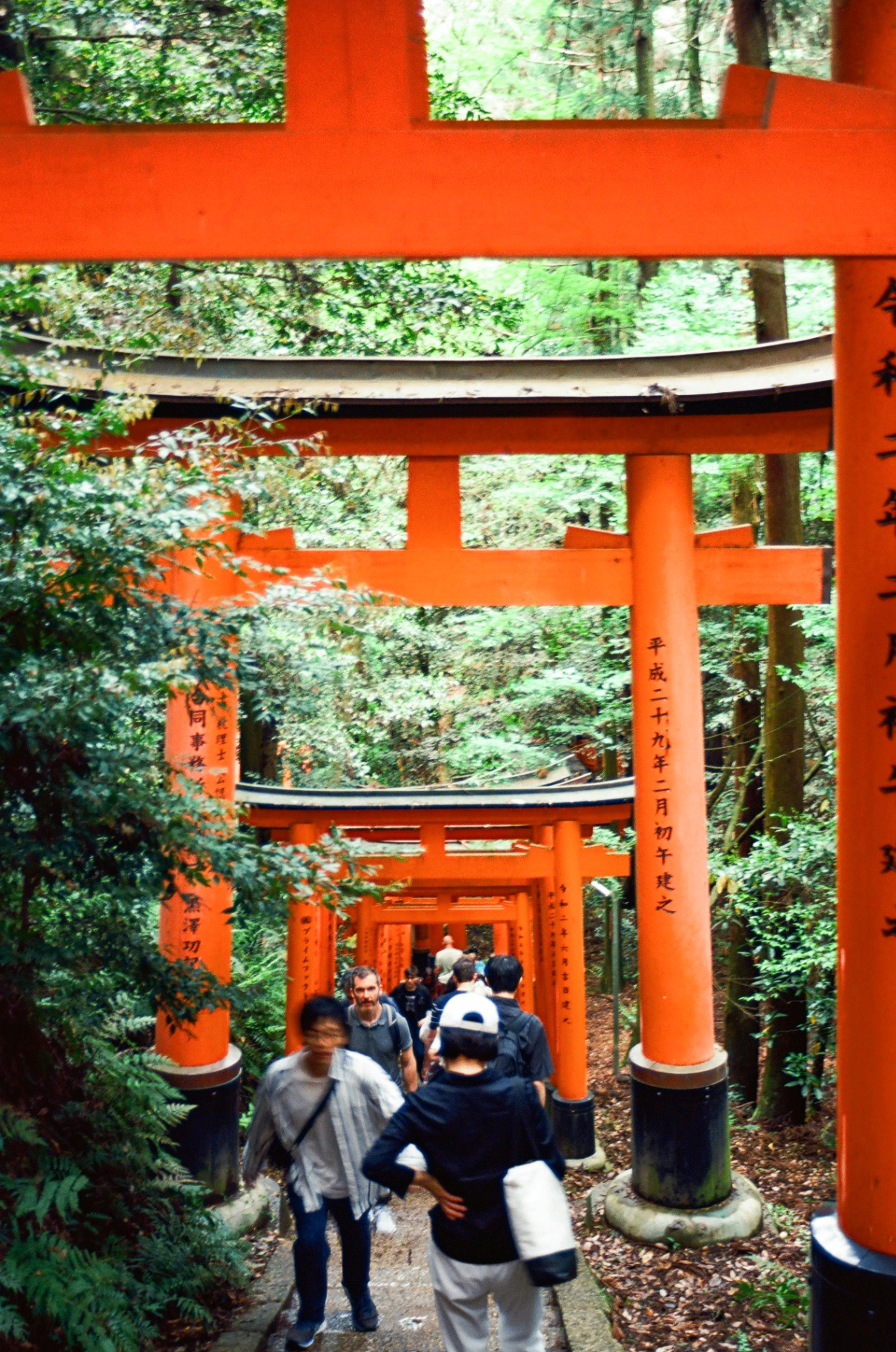 Vermilion torii gates at Fushimi Inari shrine, Kyoto, with visitors walking through the forest path