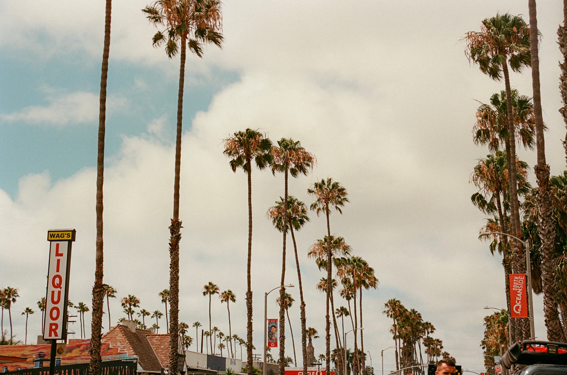 Tall palm trees over a South Oceanside street with a vintage Wag's Liquor sign under a soft cloudy sky