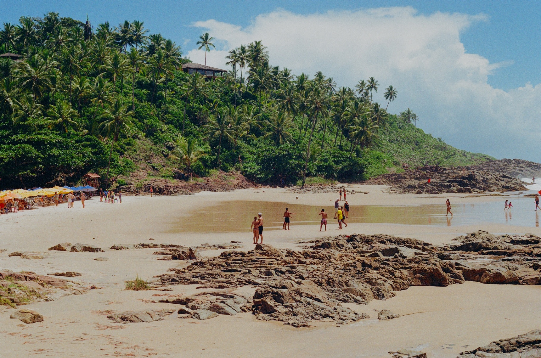 A quiet cove in Brazil with palms, rocks, and shallow tide water