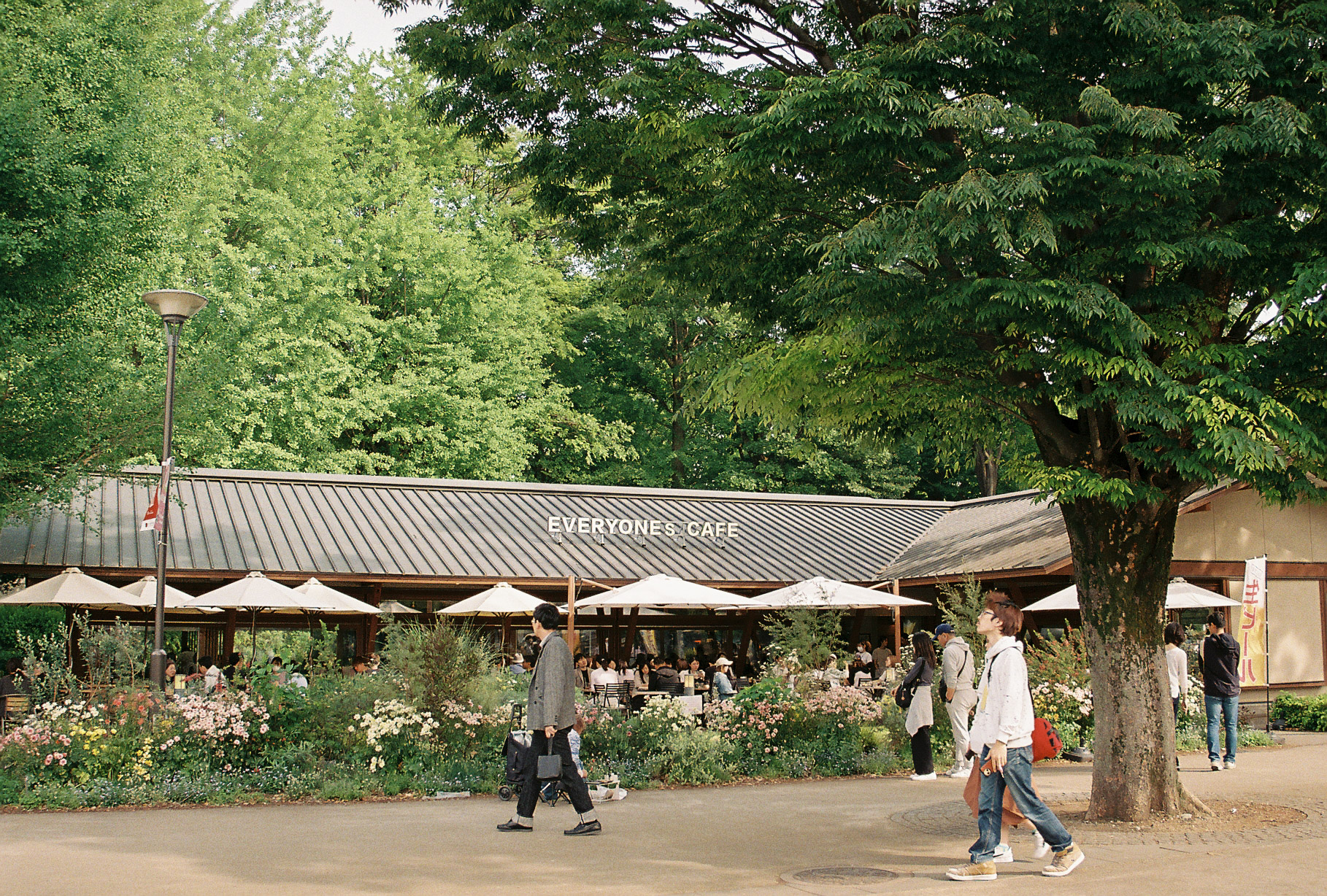 Everyone's Cafe in a Tokyo park, surrounded by roses and tall trees