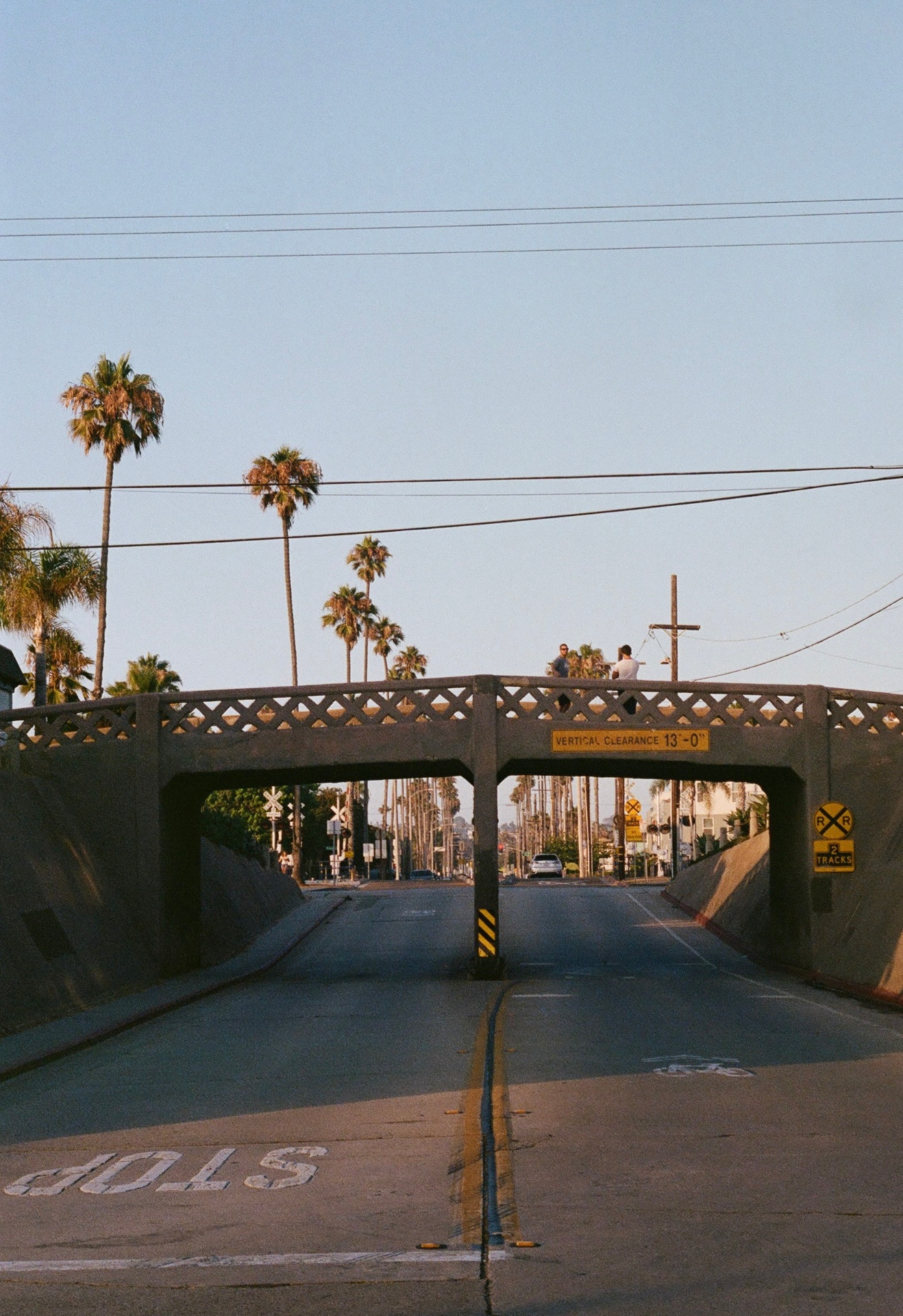 Low bridge and rows of palm trees lining a California street in warm evening light