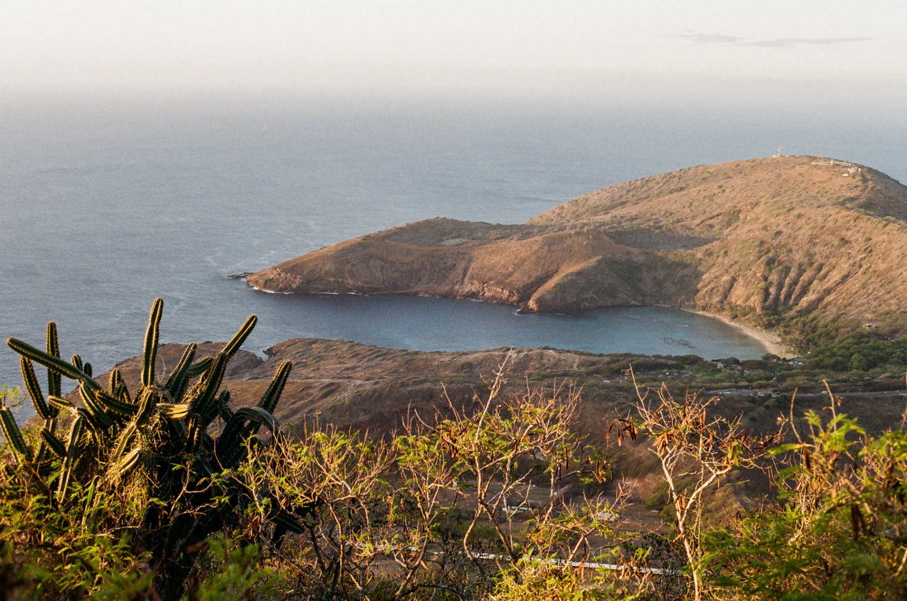 View of Hanauma Bay and the Koko Head ridgeline from above with cacti in the foreground