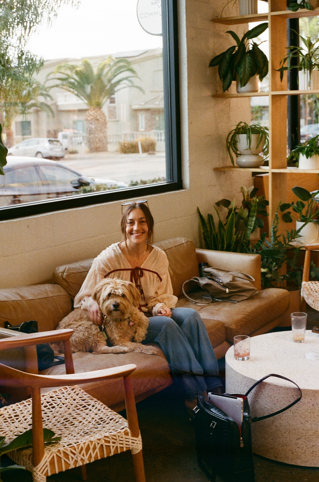 Portrait with golden dog, sunlit café window
