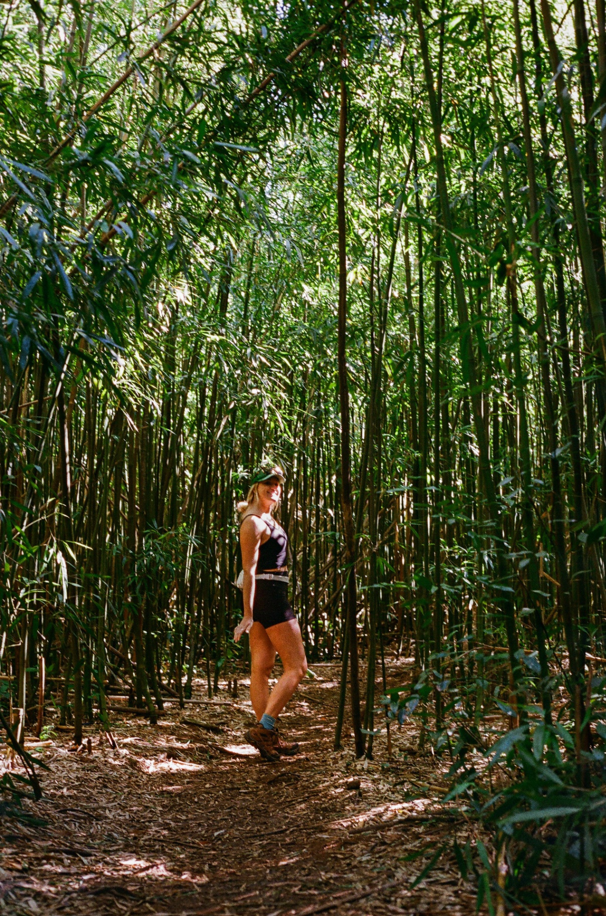 Hiker standing on a shaded trail through a tall bamboo forest in Hawaii