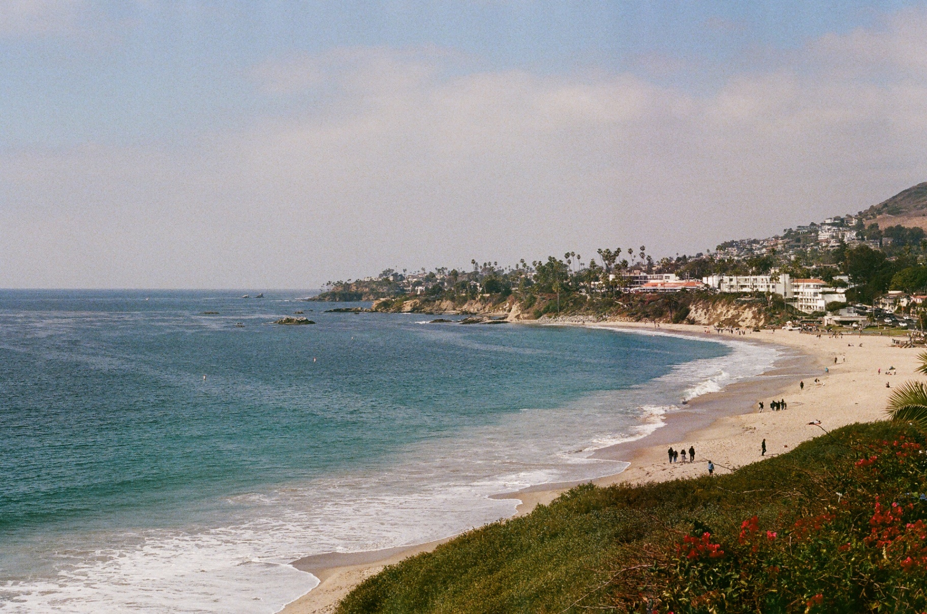 Sweeping view of the Laguna Beach coastline curving toward palm-covered hills