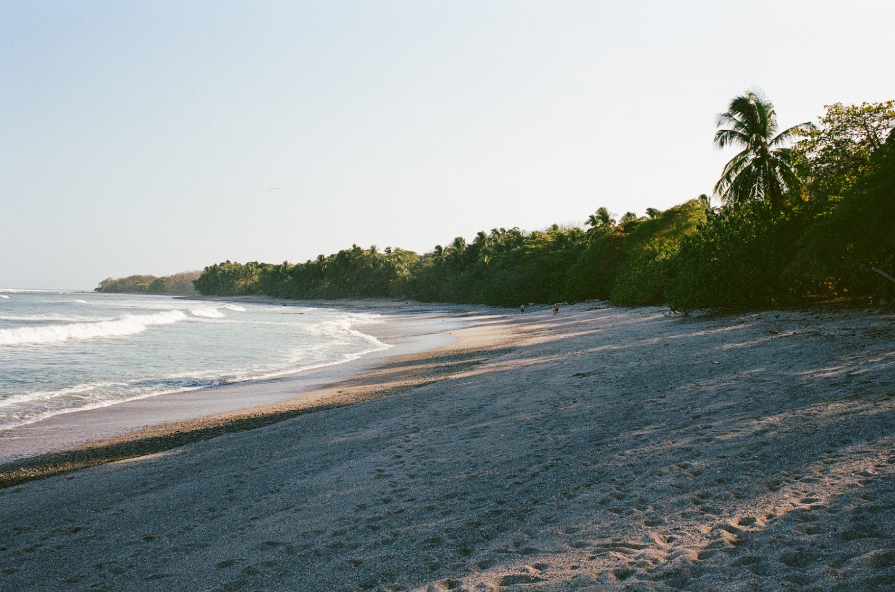 A dark sandy Costa Rica beach curving along the coast in late afternoon light