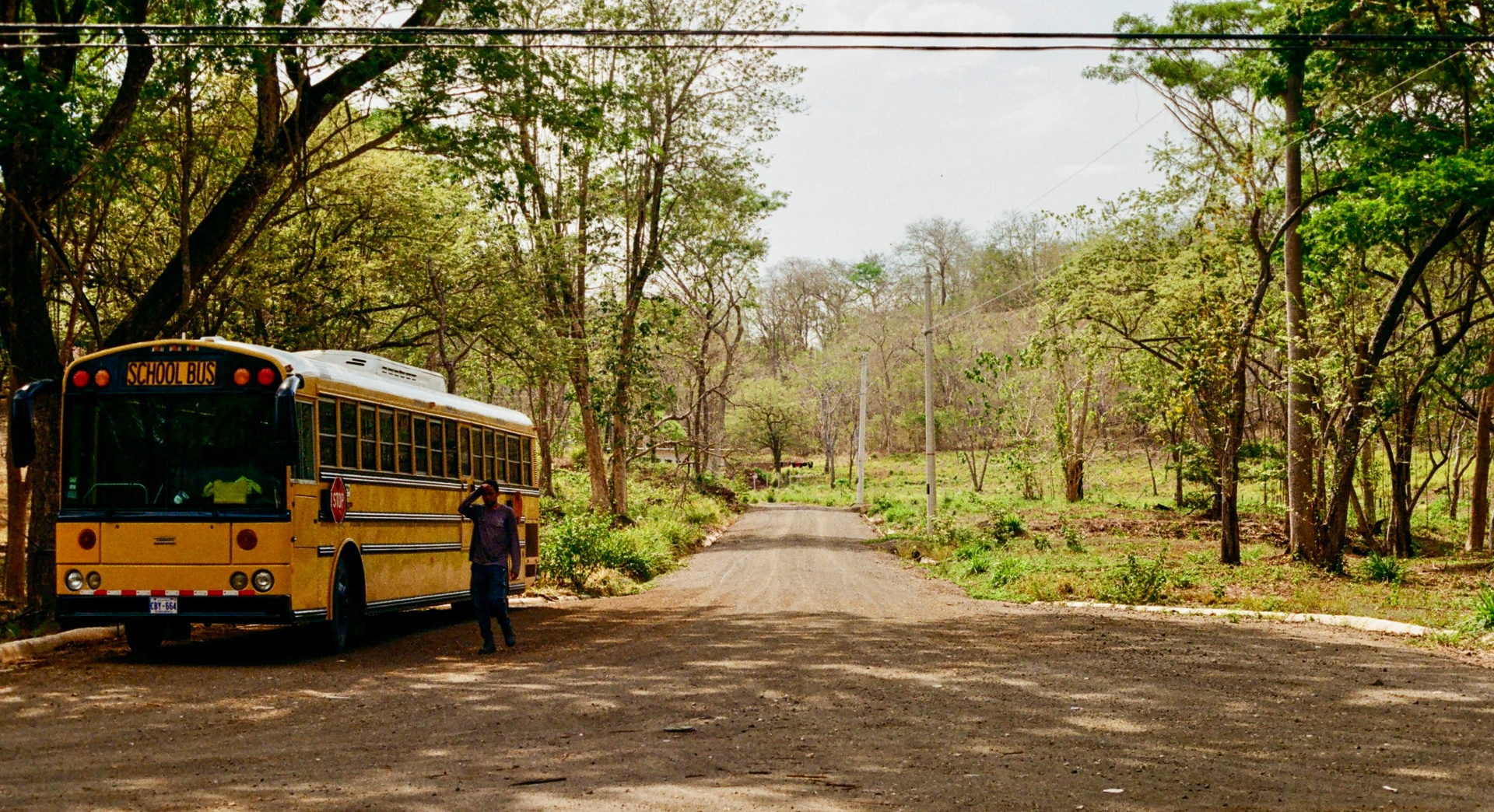 Yellow school bus parked on a rural Costa Rica road under a canopy of trees