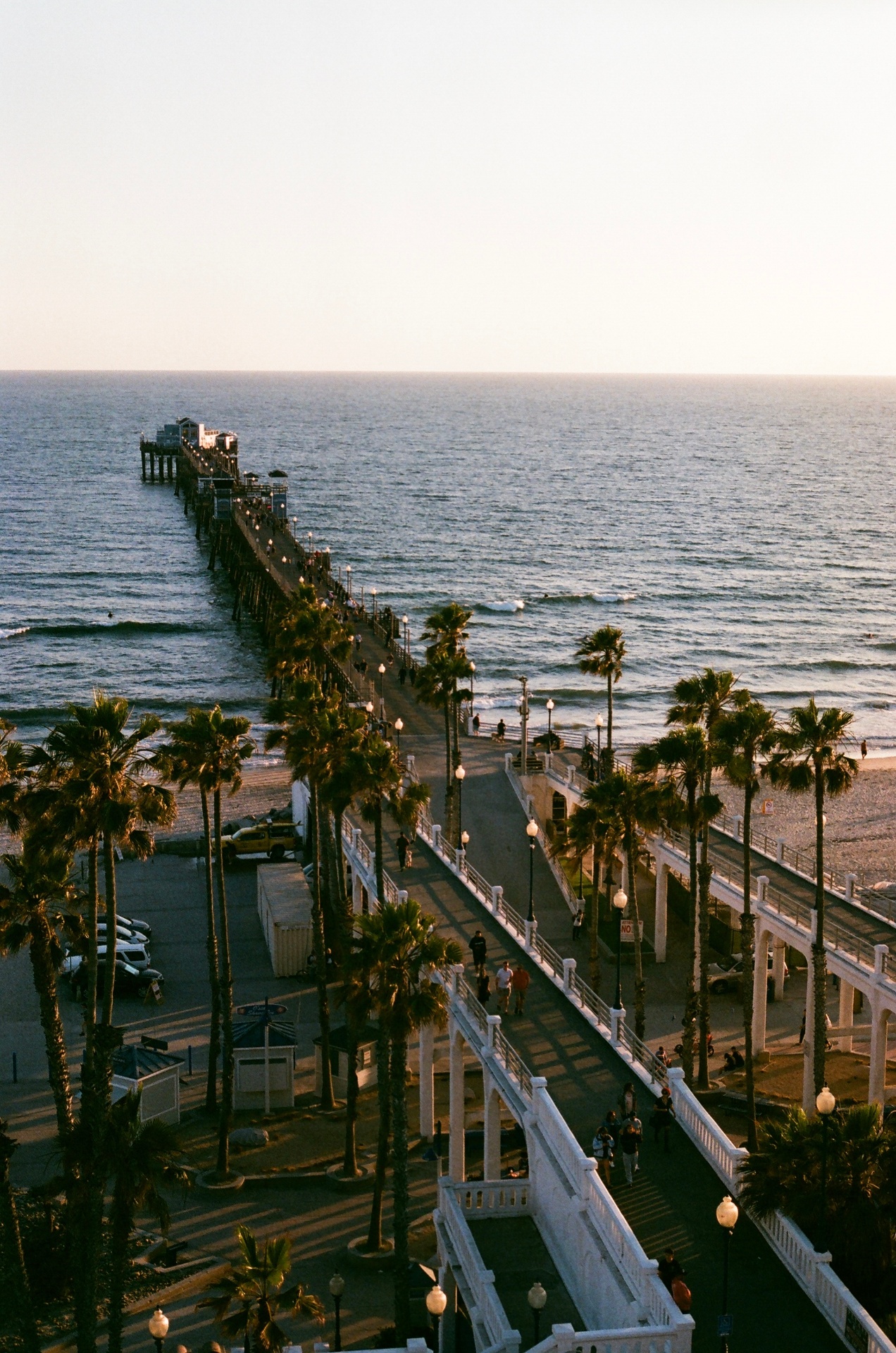 Aerial view of the Oceanside Pier at golden hour with palm trees lining the boardwalk