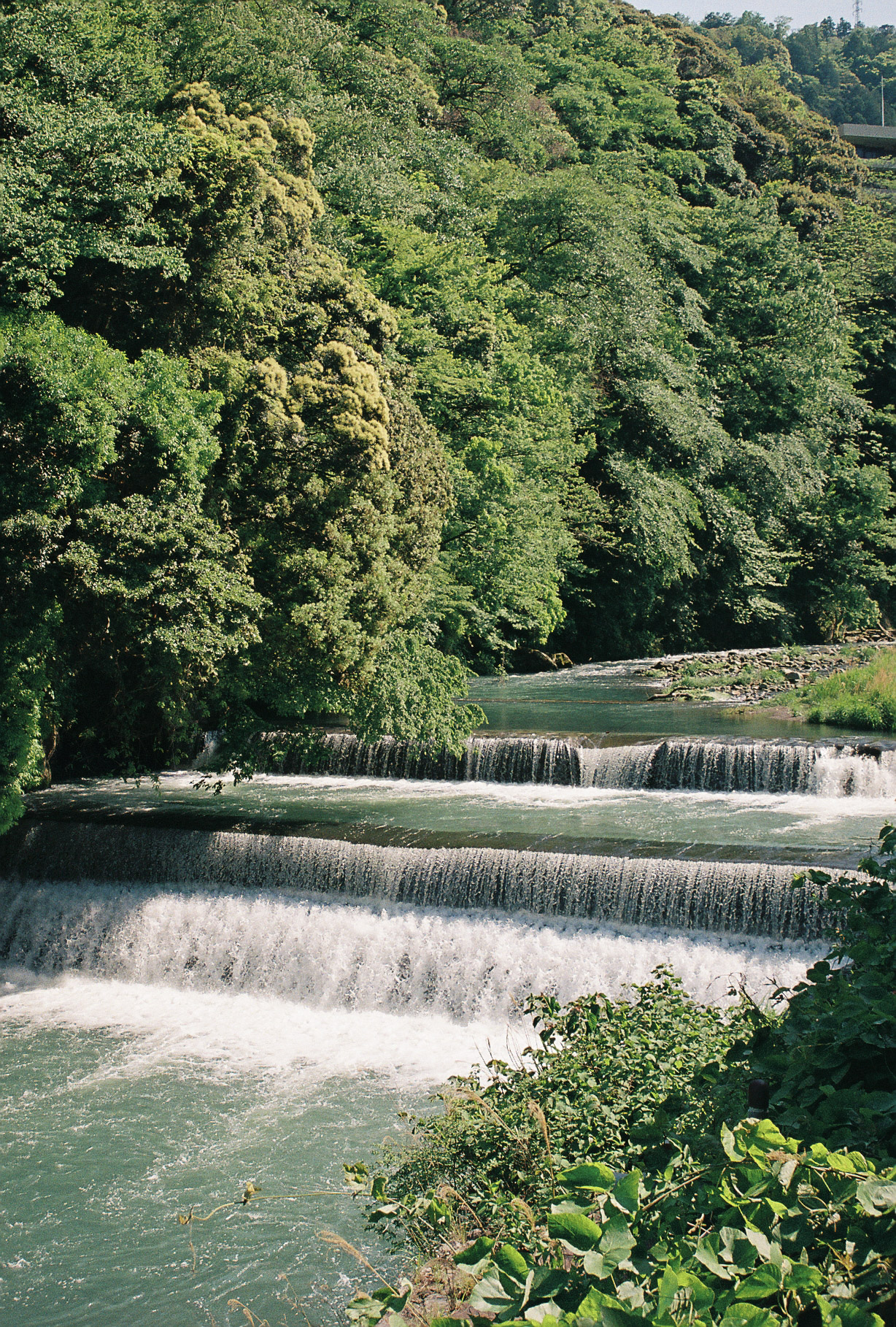 Stepped weirs and lush green forest along a Hakone river in sunlight