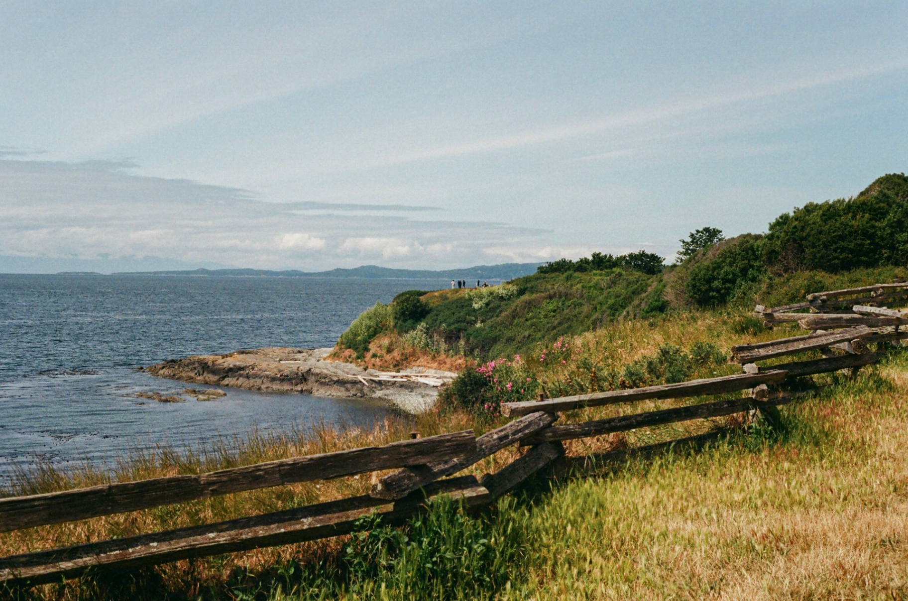 Split-rail fence along a grassy bluff above the sea, Vancouver Island