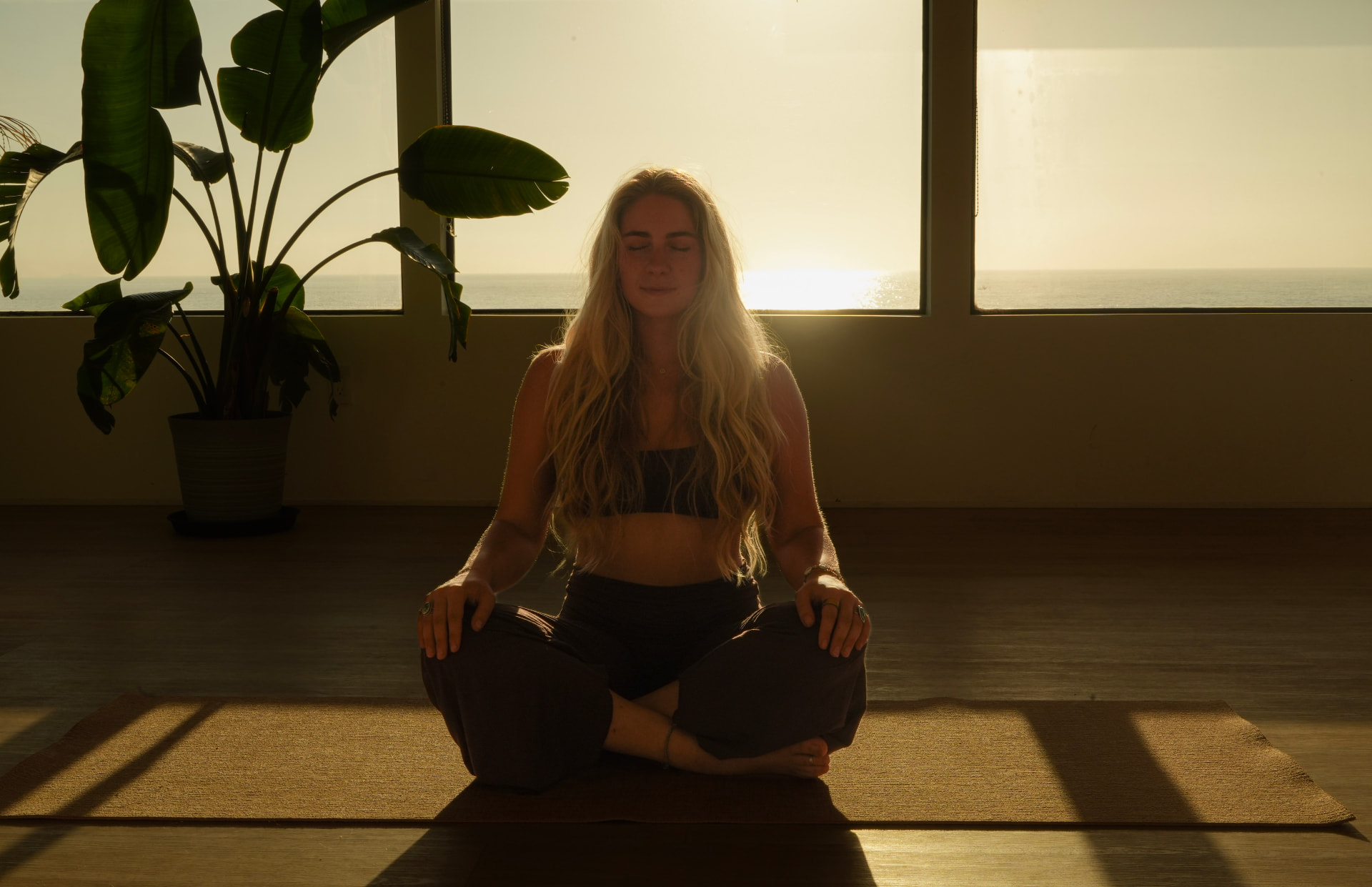 Seated meditation with golden ocean light and green leaves behind
