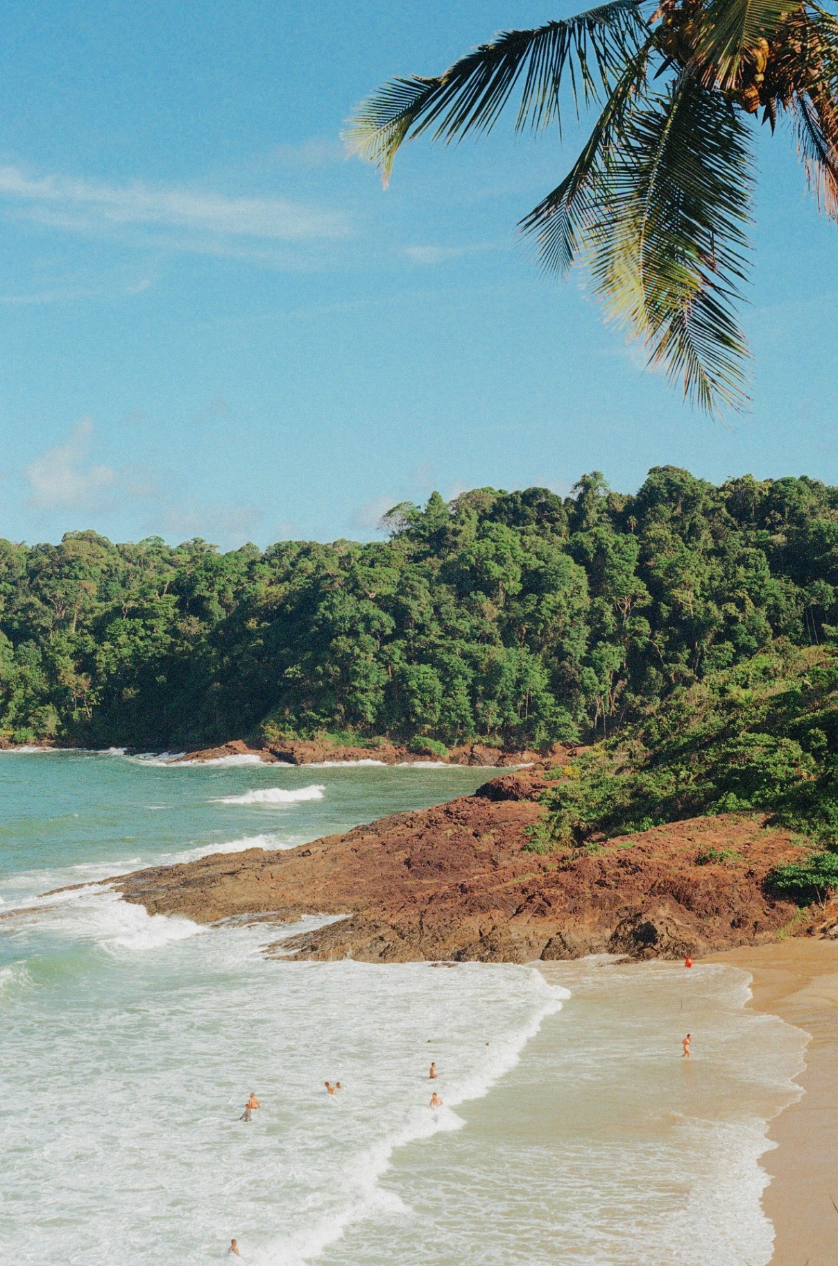 Turquoise cove with a palm frond hanging above the sand and swimmers in the shallows