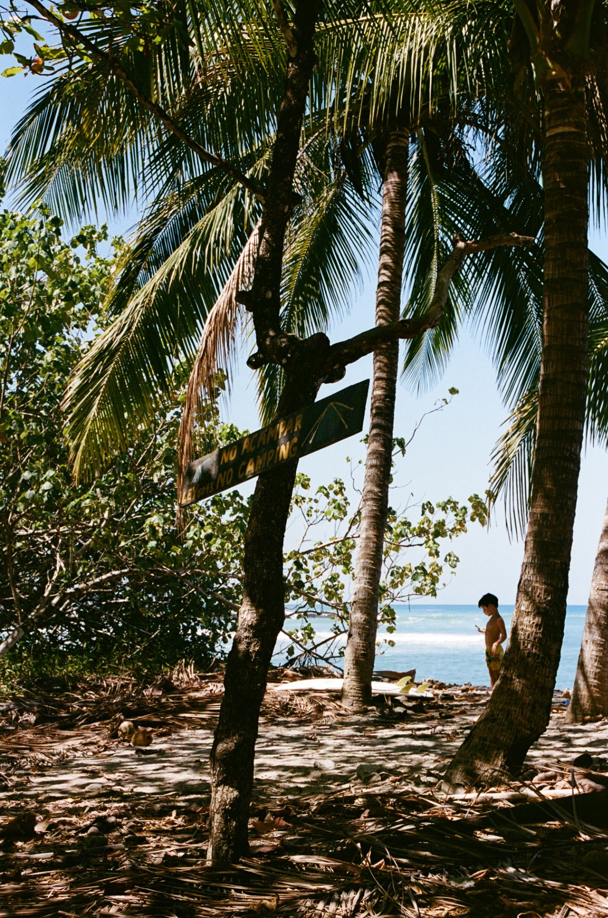 A weathered no camping sign among palms with the Costa Rica shoreline behind it